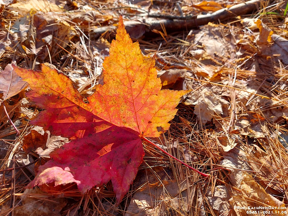 65451LeNrUsm - Beth and I hiking with Dan and Kim on various trails, both marked and unmarked